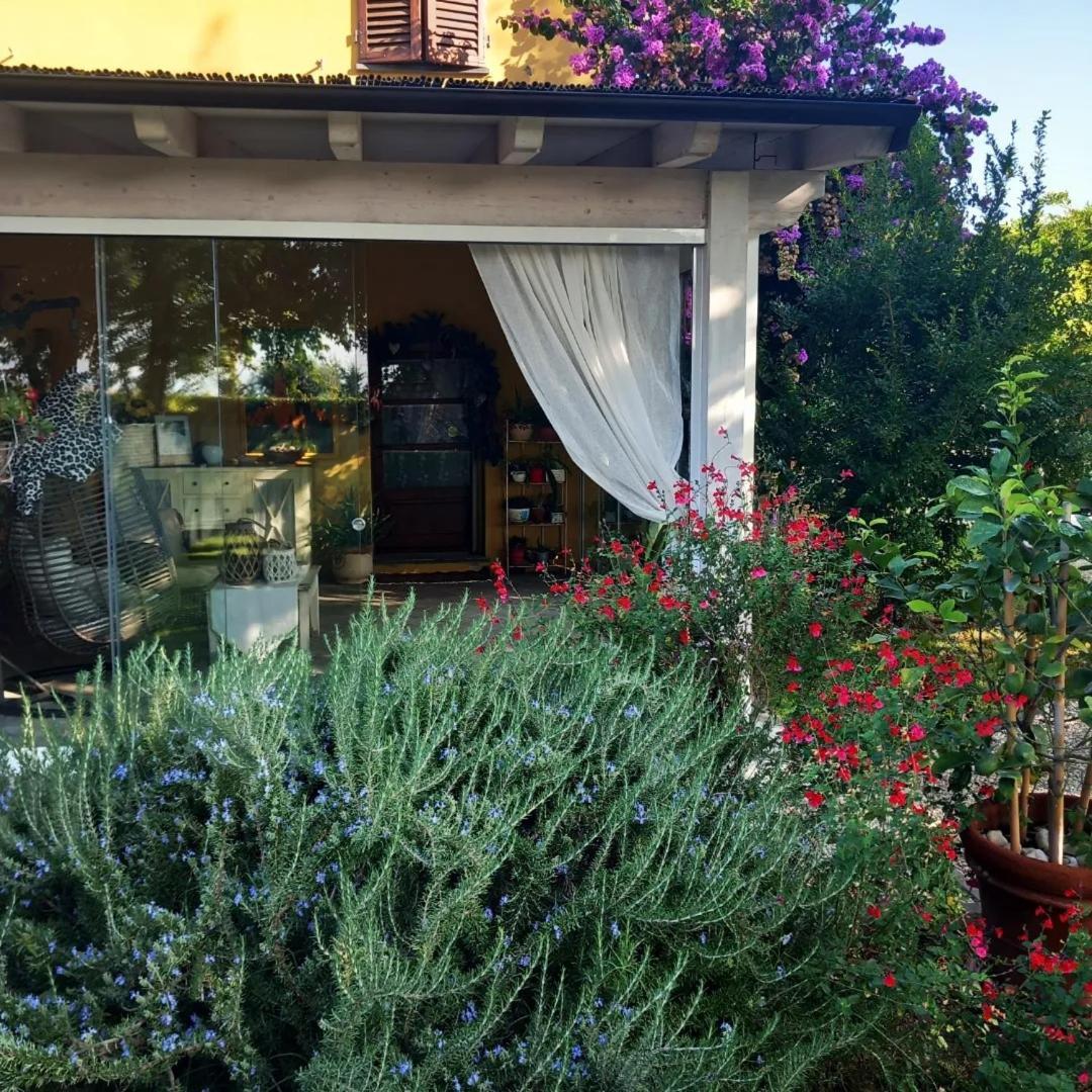 Alice'S Room By Casolare Isabella Ponsacco Exterior photo